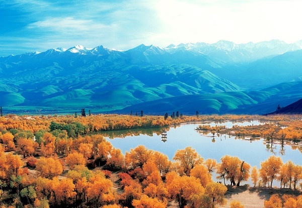 新疆,多元文化融合的和谐画卷